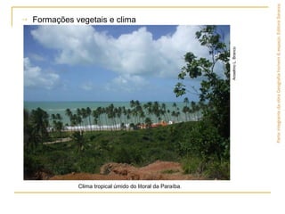 → Formações vegetais e clima
ParteintegrantedaobraGeografiahomem&espaço,EditoraSaraiva.
Clima tropical úmido do litoral da Paraíba.
AnselmoL.Branco
 