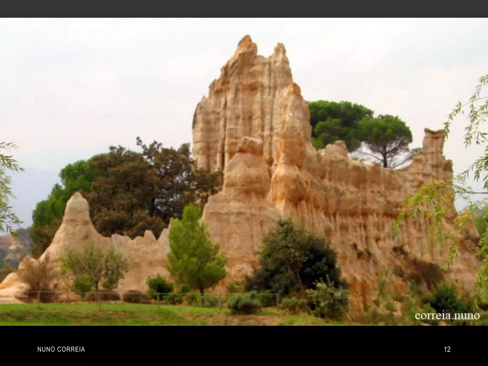 NUNO CORREIA 12