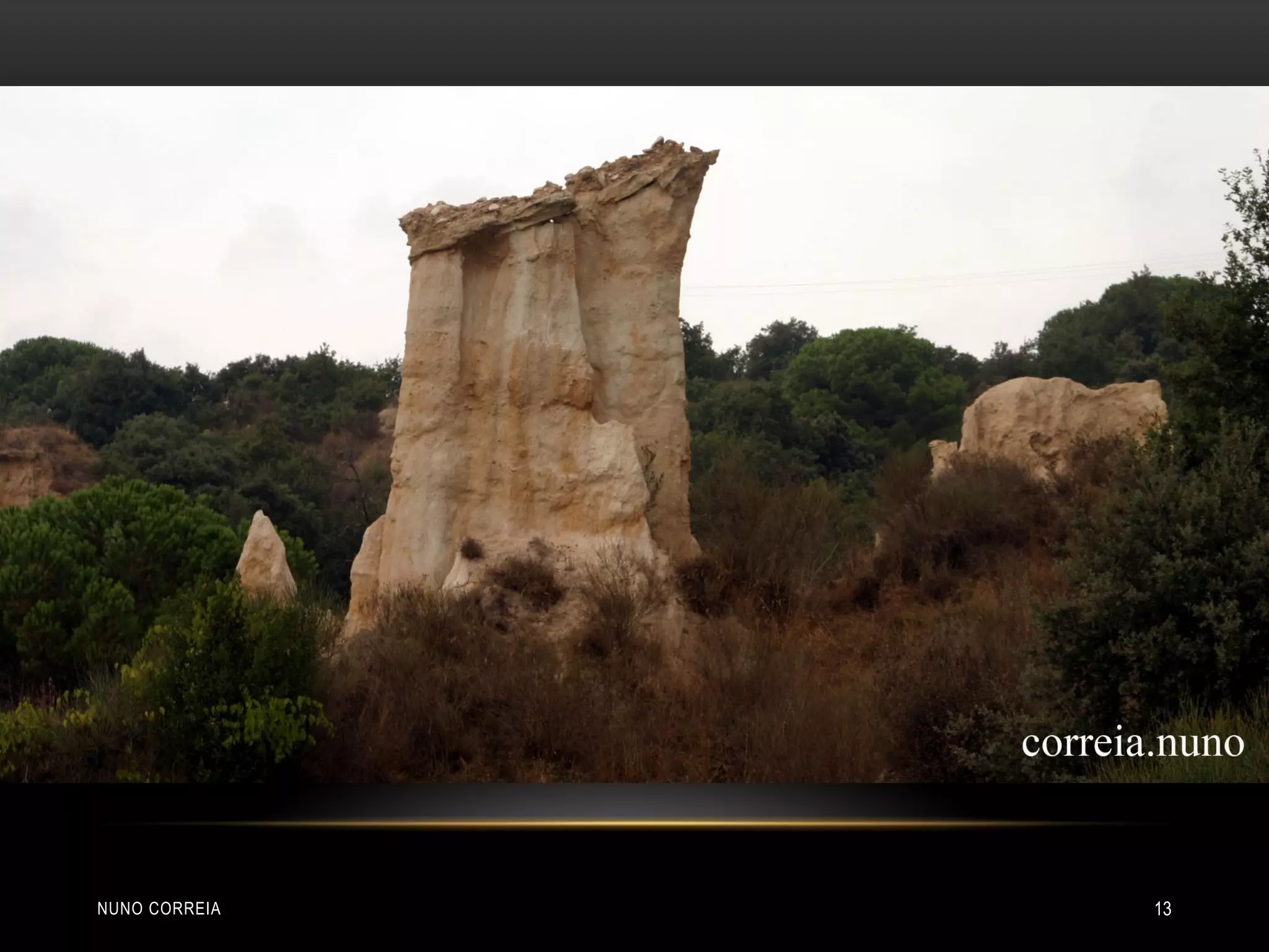 NUNO CORREIA 13