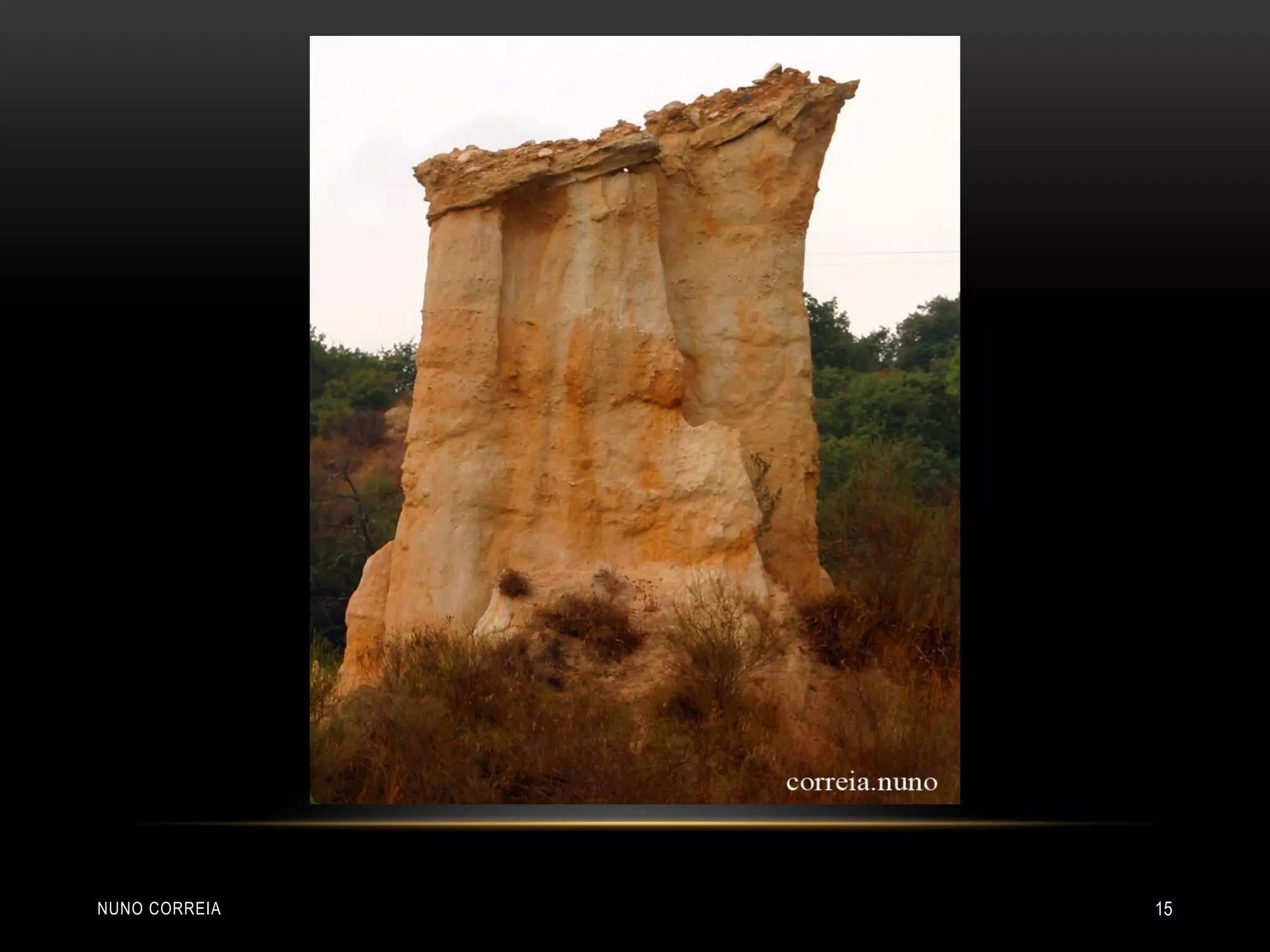 NUNO CORREIA 15