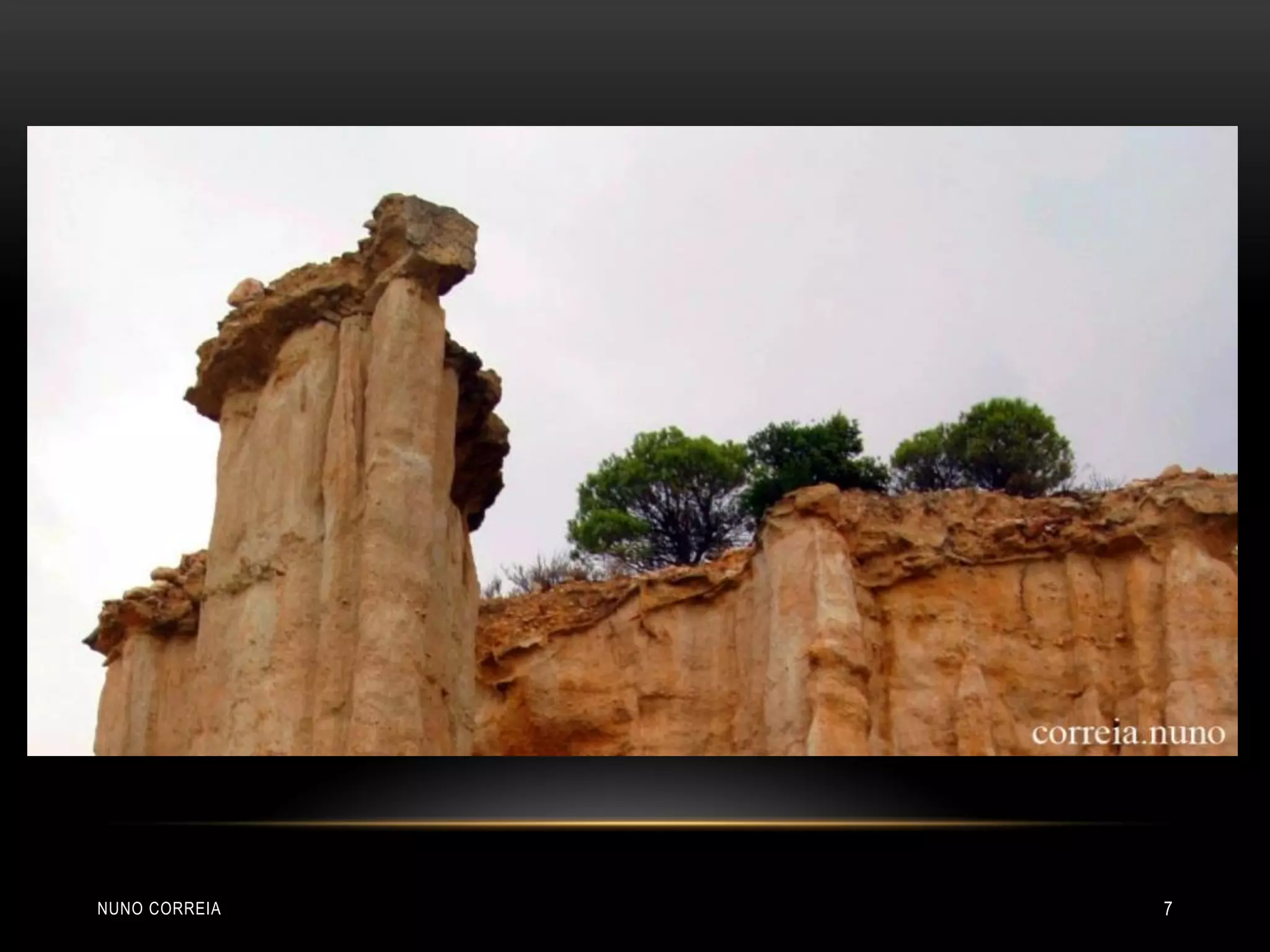 NUNO CORREIA 7