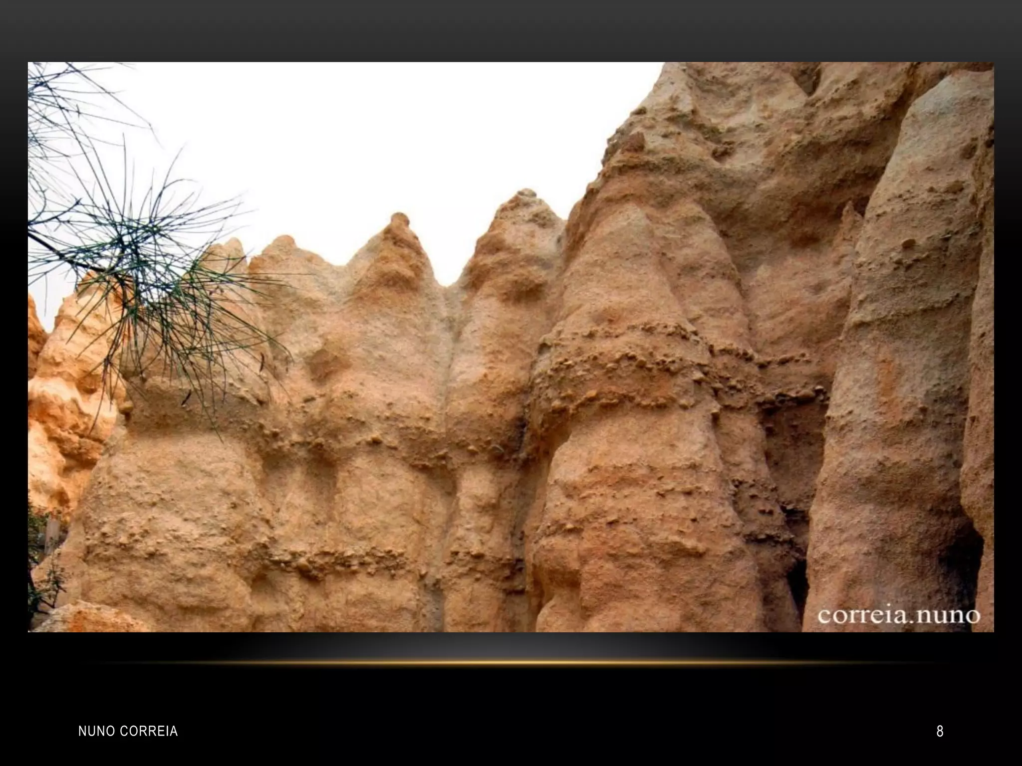 NUNO CORREIA 8