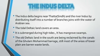 THE INDUS VALLEY CIVILIZATION AND INDUS PLAINS | PPTX