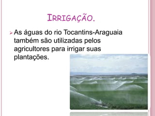 Geo araguaia