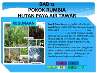 Poko Rumbia Geo bab 12 | PPTX
