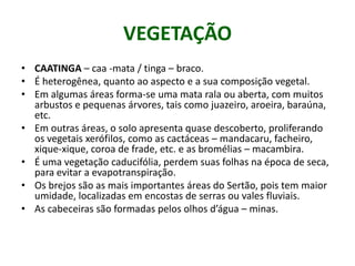 VEGETAÇÃO
• CAATINGA – caa -mata / tinga – braco.
• É heterogênea, quanto ao aspecto e a sua composição vegetal.
• Em algumas áreas forma-se uma mata rala ou aberta, com muitos
arbustos e pequenas árvores, tais como juazeiro, aroeira, baraúna,
etc.
• Em outras áreas, o solo apresenta quase descoberto, proliferando
os vegetais xerófilos, como as cactáceas – mandacaru, facheiro,
xique-xique, coroa de frade, etc. e as bromélias – macambira.
• É uma vegetação caducifólia, perdem suas folhas na época de seca,
para evitar a evapotranspiração.
• Os brejos são as mais importantes áreas do Sertão, pois tem maior
umidade, localizadas em encostas de serras ou vales fluviais.
• As cabeceiras são formadas pelos olhos d’água – minas.
 