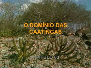 O DOMÍNIO DAS
CAATINGAS
CAPÍTULO 03
 