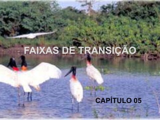 FAIXAS DE TRANSIÇÃO
CAPÍTULO 05
 