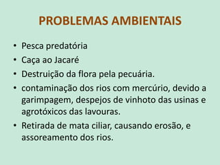 PROBLEMAS AMBIENTAIS
• Pesca predatória
• Caça ao Jacaré
• Destruição da flora pela pecuária.
• contaminação dos rios com mercúrio, devido a
garimpagem, despejos de vinhoto das usinas e
agrotóxicos das lavouras.
• Retirada de mata ciliar, causando erosão, e
assoreamento dos rios.
 