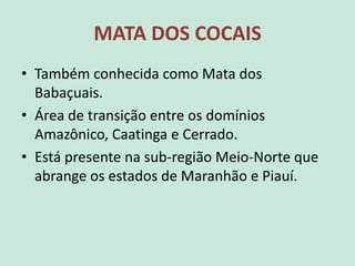 MATA DOS COCAIS
• Também conhecida como Mata dos
Babaçuais.
• Área de transição entre os domínios
Amazônico, Caatinga e Cerrado.
• Está presente na sub-região Meio-Norte que
abrange os estados de Maranhão e Piauí.
 