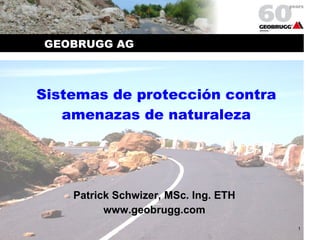 Sistemas de protección contra amenazas de naturaleza Patrick Schwizer, MSc. Ing. ETH www.geobrugg.com GEOBRUGG AG 
