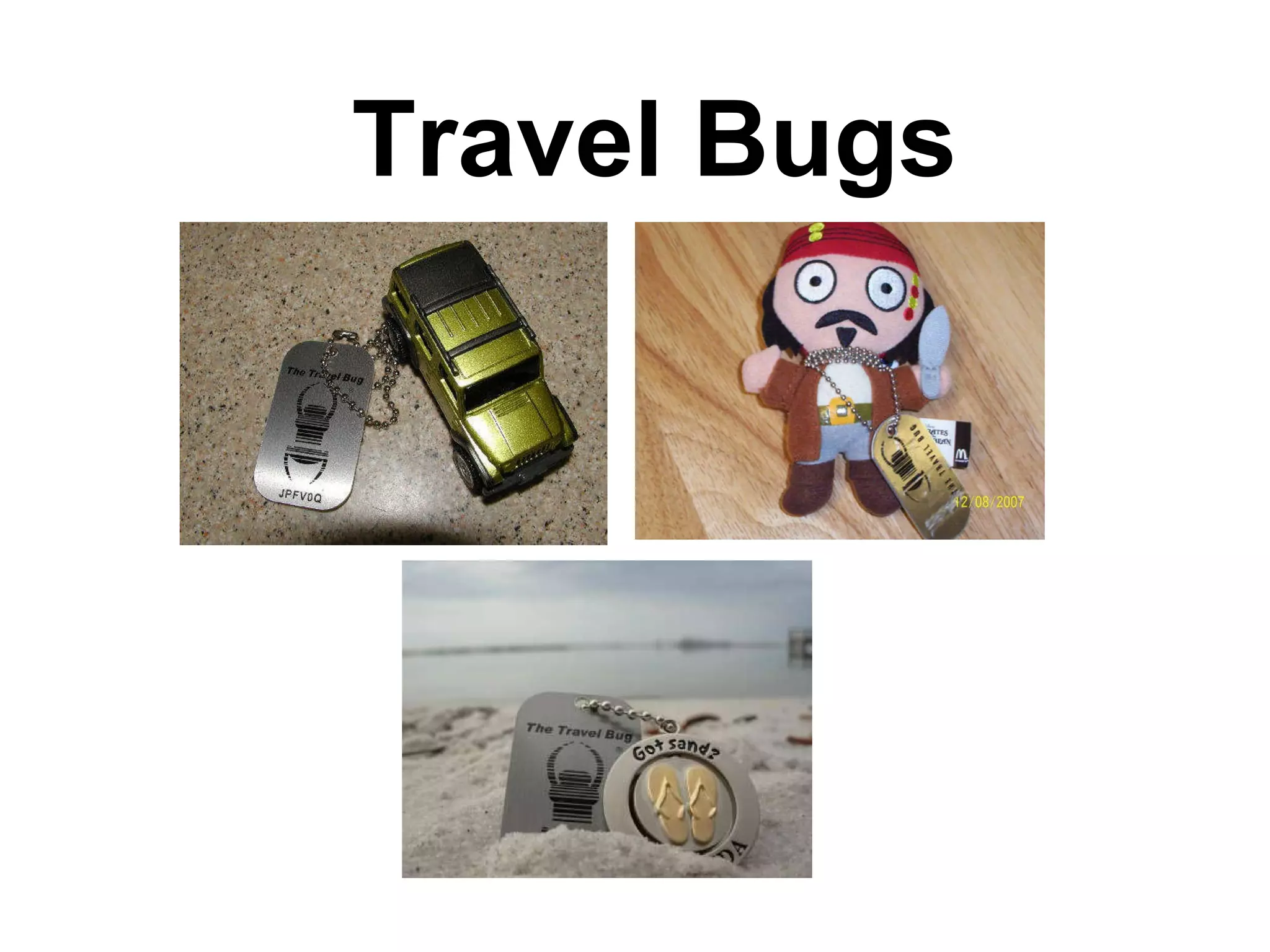 Travel Bugs