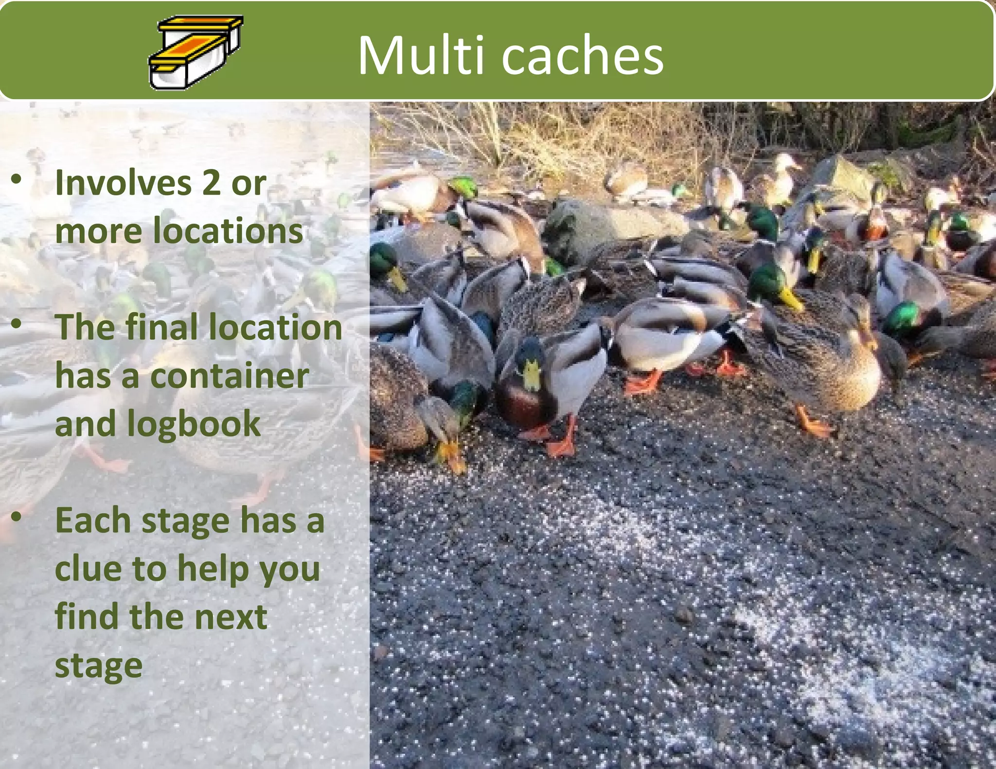 • Involves 2 or
more locations
• The final location
has a container
and logbook
• Each stage has a
clue to help you
find the next
stage
Multi caches
 