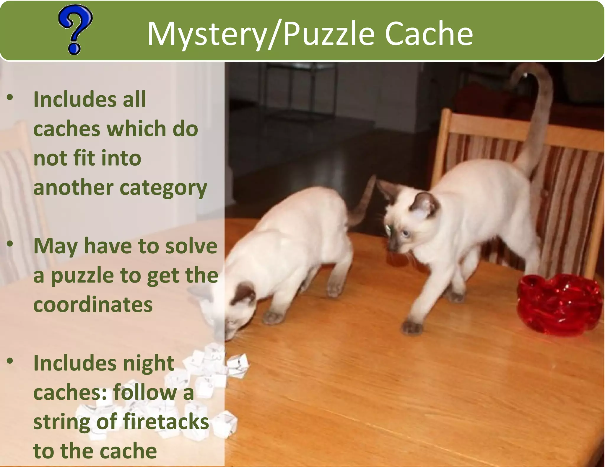 • Includes all
caches which do
not fit into
another category
• May have to solve
a puzzle to get the
coordinates
• Includes night
caches: follow a
string of firetacks
to the cache
Mystery/Puzzle Cache
 