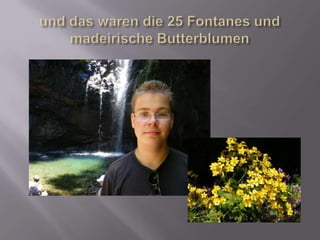 und das waren die 25 Fontanes und madeirischeButterblumen