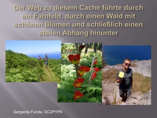 Der Weg zu diesem Cache führte durch ein Farnfeld, durch einen Wald mit schönen Blumen und schließlich einen steilen Abhang hinunterGarganta Funda, GC2PYP9