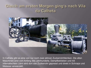 Gleich am ersten Morgen ging‘s nach Vila da CalhetaIn Calheta gibt es eine von nur noch zwei aktiven Zuckerrohrfabriken. Die alten Maschinen sind vom Anfang des Jahrhunderts. Dampfbetrieben und mit infernalischem Lärm wird dort das Zuckerrohr gepresst und direkt in Schnaps und Melasse verwandelt. 