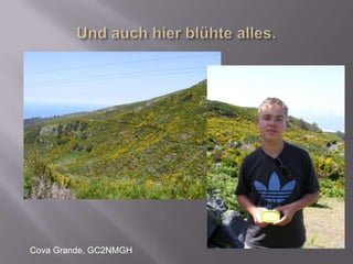 Und auch hier blühte alles.Cova Grande, GC2NMGH
