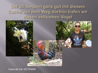 Der 20. begann ganz gut mit diesem Cache, auf dem Weg dorthin trafen wir diesen seltsamen VogelCaixa da Cal, GC1FADM