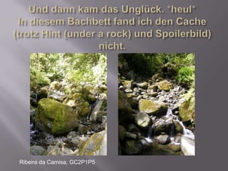 Und dann kam das Unglück. *heul* In diesem Bachbett fand ich den Cache (trotz Hint (under a rock) und Spoilerbild) nicht.Ribeira da Camisa, GC2P1P5