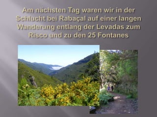 Am nächsten Tag waren wir in der Schlucht bei Rabaçal auf einer langen Wanderung entlang der Levadas zum Risco und zu den 25 Fontanes