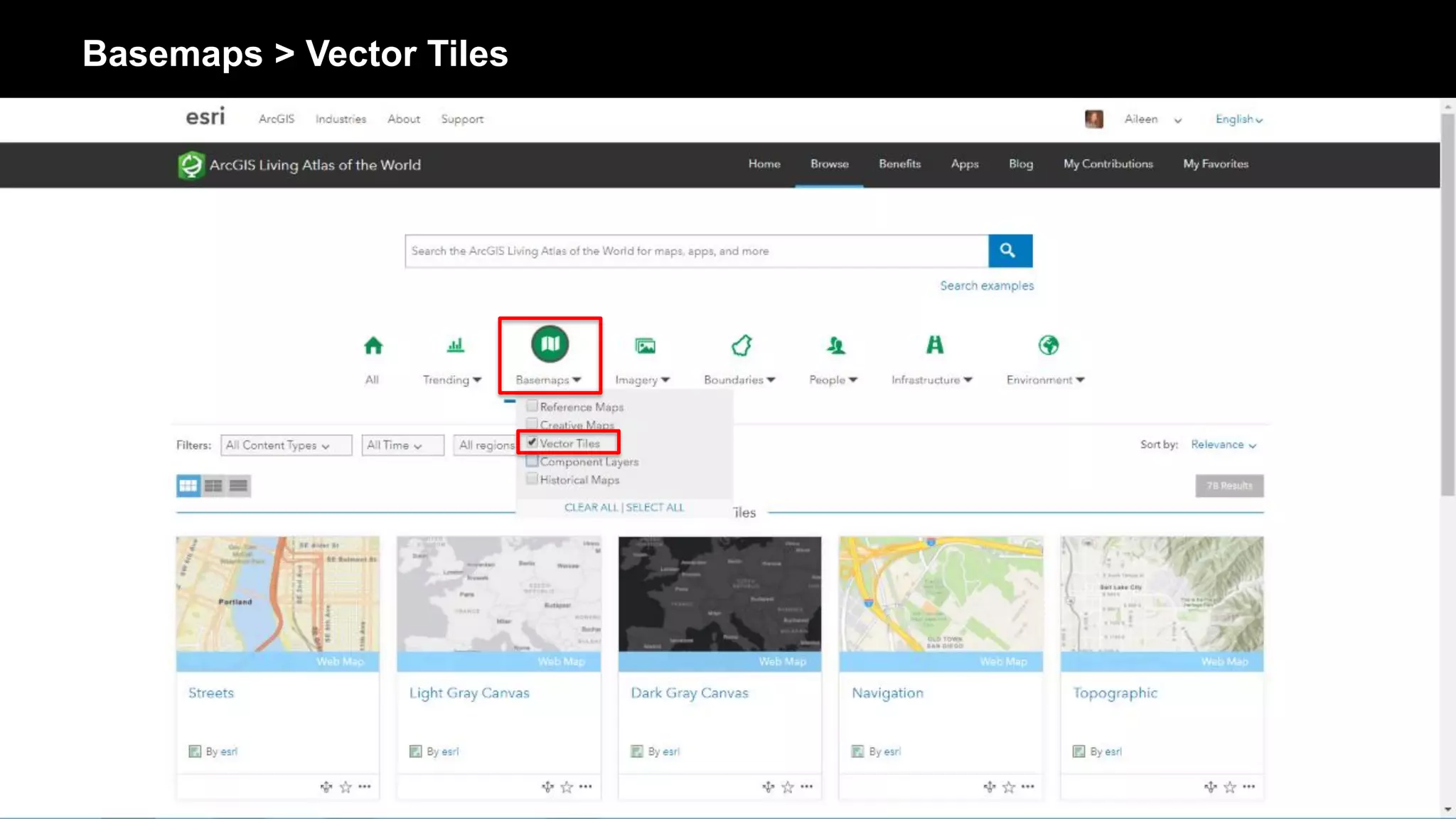 Basemaps > Vector Tiles
 