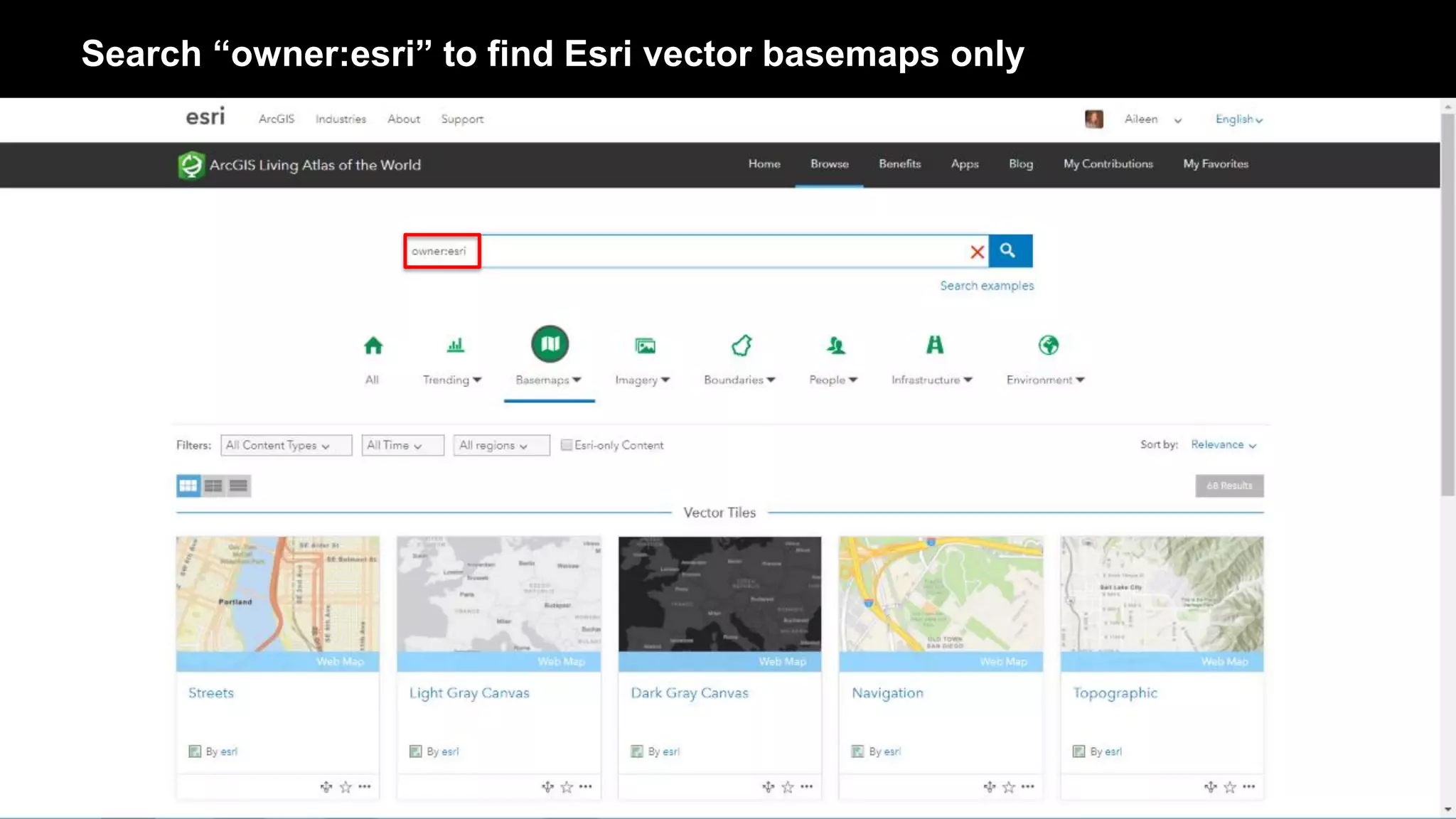 Search “owner:esri” to find Esri vector basemaps only
 