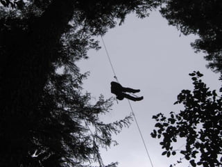 Pakbus protocolMotesMesh structure 