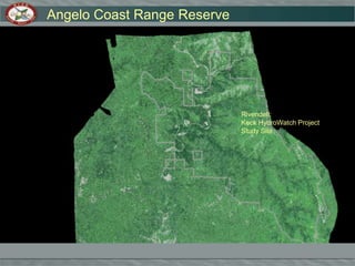 Douglas Fir, Redwood