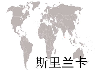 斯里兰卡
 