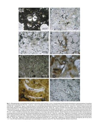 Fig. 3. a.MicrophotographscorrespondingtotherespectivestoneanchorsshownintheFig.2(atop).a.Vesicularbasalt,Vesicleslinedbychlorophaeiteinaglassygroundmass.Groundmass
contains small acicular plagioclase. PPL. (Ves ¼ vesicle; Gl ¼ Glass). b. Actinolite schist, Dull green coloured ﬁbrous crystals of actinolite are seen. Black coloured spinels are seen within the
rock. PPL. (Act ¼ actinolite; Sp ¼ spinel). c. Calcite and chlorite in a rock with black coloured spinels. Pyroxenes show alteration. PPL. (Chl ¼ chlorite; Cal ¼ calcite). d. Schistose texture with
bands of ﬂaky, pleochroic biotite alternating with bands of quartz and plagioclase. PPL. (Bio ¼ biotite; Qtz ¼ quartz). e. Actinolite schist with opaque spinels. Actinolite is ﬁbrous  dull green
coloured mineral. PPL. (Act ¼ actinolite). f. Rock is composed of carbonate mud with a few fossils. Elongated tube like feature is w1.4 mm long, PPL. g. Fossiliferous limestone, bivalve shell of
w2mmsizesurroundedby ﬁnecarbonatemud,PPL.(Bivalve).h.Totallyalteredserpentinitecrystalswith magnesite(MgCO3).At thecentreof theimagepseudomorphofcalciteafterolivine.
PPL. (Cal ¼ calcite). i. Fossiliferous limestone with a fossil of sponge (size 1.5 mm long) in the carbonate mud, PPL. j. Basalt, Plagioclase and olivine are present. Black coloured spinels are
occasionally observed strewn in therock. Alteredbasalt with plagioclase alteredto sericite,PPL. (Ol ¼ olivine; Sp¼ spinel;plag ¼ plagioclase). k. Granodiorite - volcanic rock with plagioclase
laths in a glassy groundmass. BXN. (Plag ¼ plagioclase). l. Basalt with typical porphyritic texture. Plagioclase lath is seen in the basaltic groundmass of plagioclase, olivine and spinels, BXN.
(Plag¼ plagioclase). m.Sandstonewithﬁnegrainsofquartz (0.04e0.06 mm) and feldspars are seenina carbonate cement. PPL. n. Basalt withplagioclase and olivineasmainmineralphases.
BXN. (Ol ¼ olivine; Plag ¼ plagioclase). o. Dolerite with Olivine and Plagioclase altered. PPL. (Ol ¼ olivine; Plag ¼ plagioclase). p. Calcareous sandstone with high SiO2 and 12% Cao, area is
w4 Â 5 mm, PPL. Rock consists of ﬁne-grained quartz and rarely feldspars in calcareous cement. PPL: Plane Polarised Light BXN: Between Crossed Nicols.
 