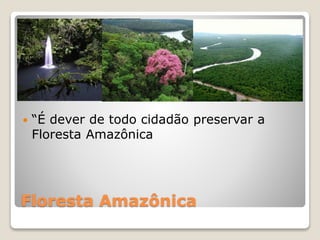 Floresta Amazônica
 “É dever de todo cidadão preservar a
Floresta Amazônica
 