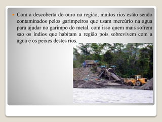  Com a descoberta do ouro na região, muitos rios estão sendo
contaminados pelos garimpeiros que usam mercúrio na agua
para ajudar no garimpo do metal. com isso quem mais sofrem
sao os índios que habitam a região pois sobrevivem com a
agua e os peixes destes rios.
 