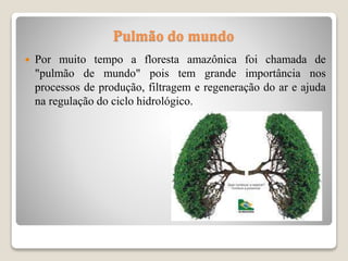 Pulmão do mundo
 Por muito tempo a floresta amazônica foi chamada de
"pulmão de mundo" pois tem grande importância nos
processos de produção, filtragem e regeneração do ar e ajuda
na regulação do ciclo hidrológico.
 