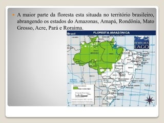  A maior parte da floresta esta situada no território brasileiro,
abrangendo os estados do Amazonas, Amapá, Rondônia, Mato
Grosso, Acre, Pará e Roraima.
 