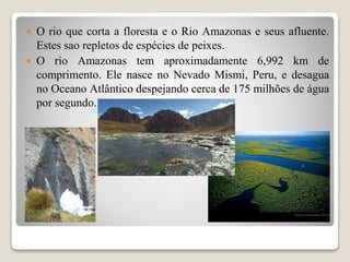  O rio que corta a floresta e o Rio Amazonas e seus afluente.
Estes sao repletos de espécies de peixes.
 O rio Amazonas tem aproximadamente 6,992 km de
comprimento. Ele nasce no Nevado Mismi, Peru, e desagua
no Oceano Atlântico despejando cerca de 175 milhões de água
por segundo.
 