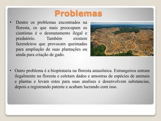 Problemas
• Dentre os problemas encontrados na
floresta, os que mais preocupam os
cientistas é o desmatamento ilegal e
predatório. Também existem
fazendeiros que provocam queimadas
para ampliação de suas plantações ou
ainda para criação de gado.
• Outro problema é a biopirataria na floresta amazônica. Estrangeiros entram
ilegalmente na floresta e coletam dados e amostras de espécies de animais
e plantas e levam estes para suas analises e desenvolvem substancias,
depois a registrando patente e acabam lucrando com isso.
 