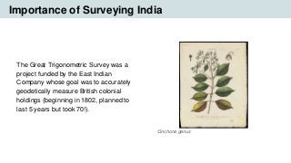 The Great Trigonometric Survey was a
project funded by the East Indian
Company whose goal was to accurately
geodetically m...