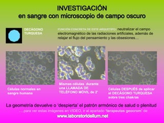 DECÁGONO          FUNCIÓN CONCRETA DE ESTE ARQUETIPO:    neutralizar el campo
         TURQUESA          electromagnético de las radiaciones artificiales, además de
                           relajar el flujo del pensamiento y las obsesiones…




                           Mismas células durante
Células normales en        una LLAMADA DE                 Células DESPUÉS de aplicar
sangre humana              TELÉFONO MÓVIL de 2’           el DECÁGONO TURQUESA
                                                          sobre tres chakras

La geometría devuelve o ‘despierta’ el patrón armónico de salud o plenitud
      …para ver estas imágenes en VIDEO, ir al apartado ‘terapeutas geocrom’ de
 
