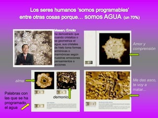 ha demostrado que
                cuando cristaliza o
                se geometriza el
                agua, sus cristales    Amor y
                de hielo toma formas   comprensión
                armónicas o
                inarmónicas según
                nuestras emociones
                pensamientos o
                acciones




     alma                              Me das asco,
                                       te voy a
                                       matar...
Palabras con
las que se ha   demonio
programado
el agua
 
