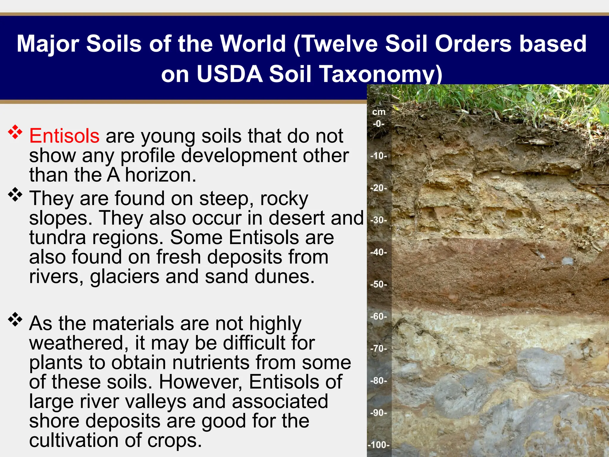 Major Soils of the World (Twelve Soil Orders based
on USDA Soil Taxonomy)
 Entisols are young soils that do not
show any profile development other
than the A horizon.
 They are found on steep, rocky
slopes. They also occur in desert and
tundra regions. Some Entisols are
also found on fresh deposits from
rivers, glaciers and sand dunes.
 As the materials are not highly
weathered, it may be difficult for
plants to obtain nutrients from some
of these soils. However, Entisols of
large river valleys and associated
shore deposits are good for the
cultivation of crops. 11
 