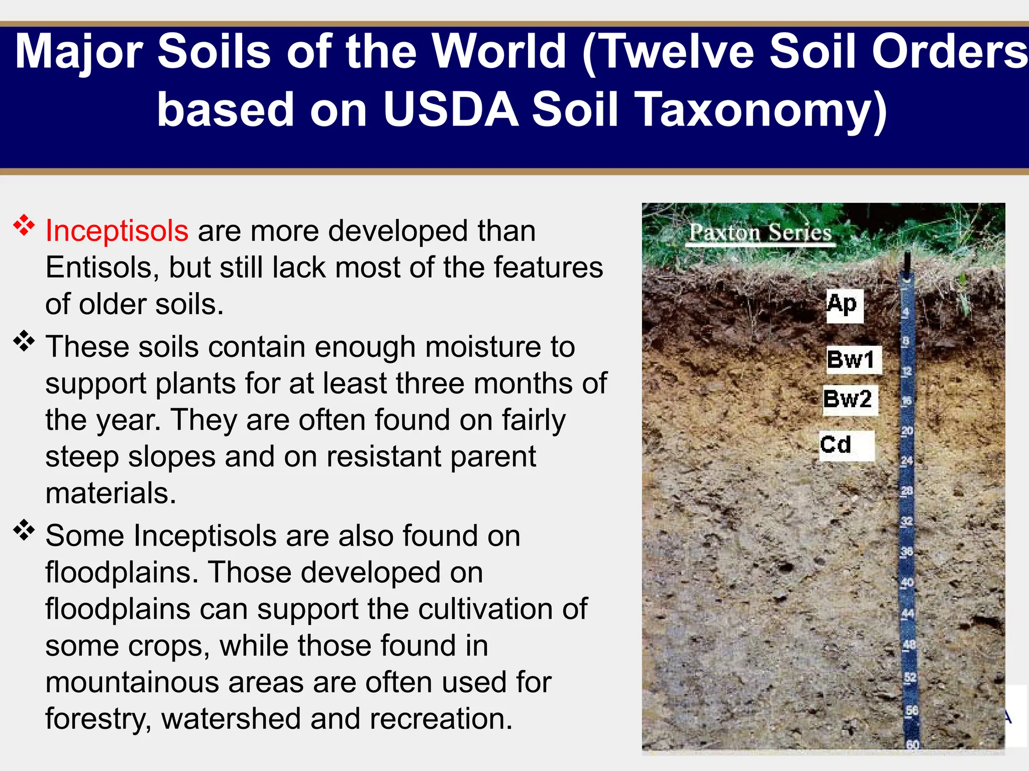 Major Soils of the World (Twelve Soil Orders
based on USDA Soil Taxonomy)
 Inceptisols are more developed than
Entisols, but still lack most of the features
of older soils.
 These soils contain enough moisture to
support plants for at least three months of
the year. They are often found on fairly
steep slopes and on resistant parent
materials.
 Some Inceptisols are also found on
floodplains. Those developed on
floodplains can support the cultivation of
some crops, while those found in
mountainous areas are often used for
forestry, watershed and recreation. 12
 