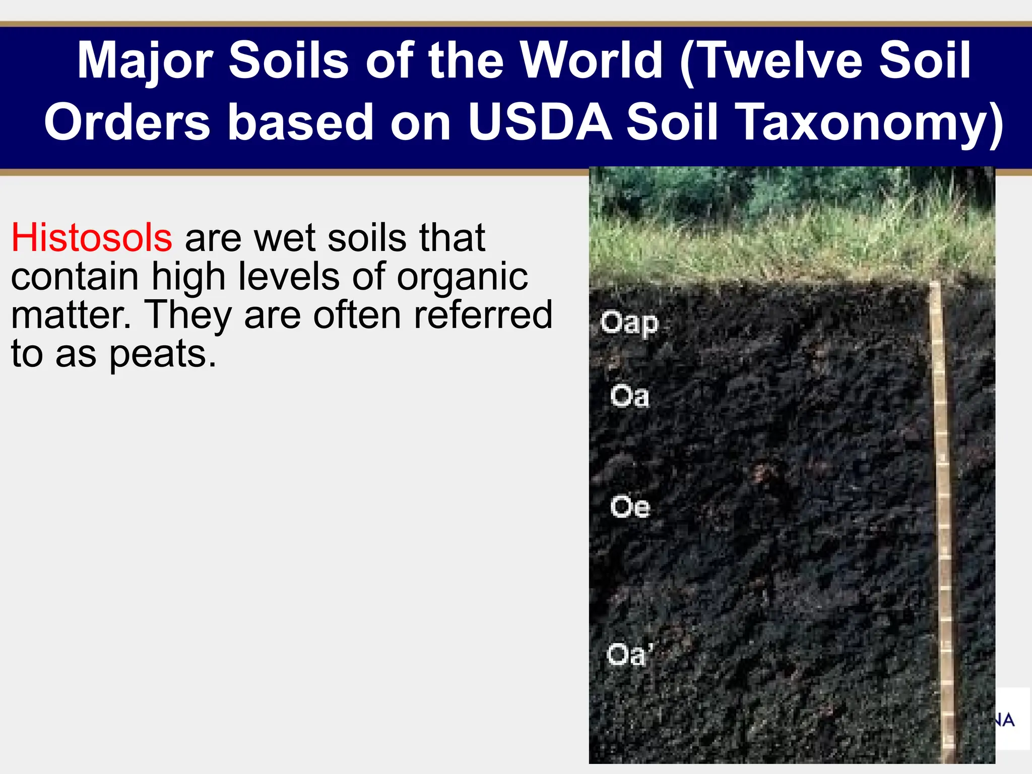 Major Soils of the World (Twelve Soil
Orders based on USDA Soil Taxonomy)
Histosols are wet soils that
contain high levels of organic
matter. They are often referred
to as peats.
13
 