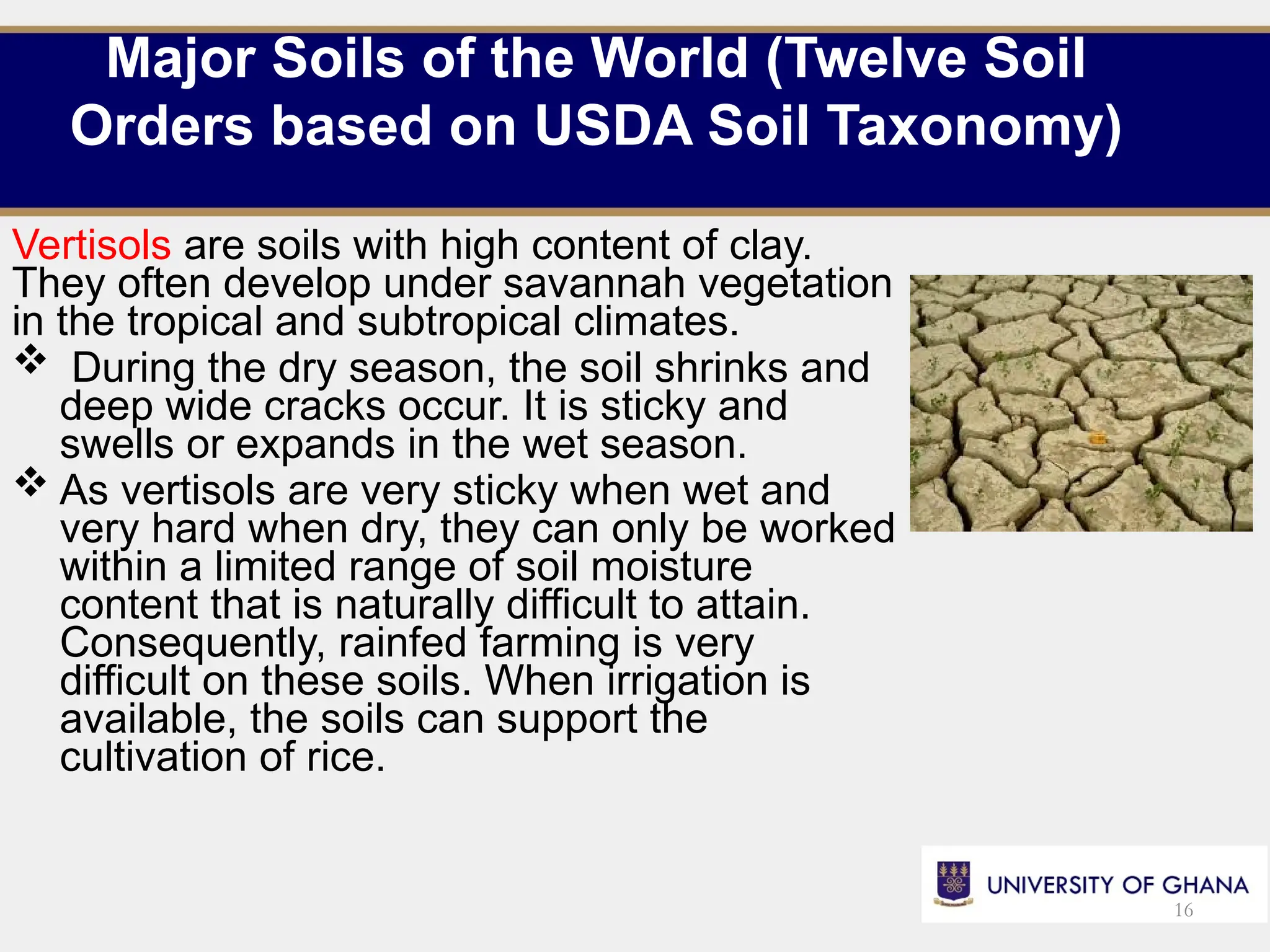 Major Soils of the World (Twelve Soil
Orders based on USDA Soil Taxonomy)
Vertisols are soils with high content of clay.
They often develop under savannah vegetation
in the tropical and subtropical climates.
 During the dry season, the soil shrinks and
deep wide cracks occur. It is sticky and
swells or expands in the wet season.
 As vertisols are very sticky when wet and
very hard when dry, they can only be worked
within a limited range of soil moisture
content that is naturally difficult to attain.
Consequently, rainfed farming is very
difficult on these soils. When irrigation is
available, the soils can support the
cultivation of rice.
16
 