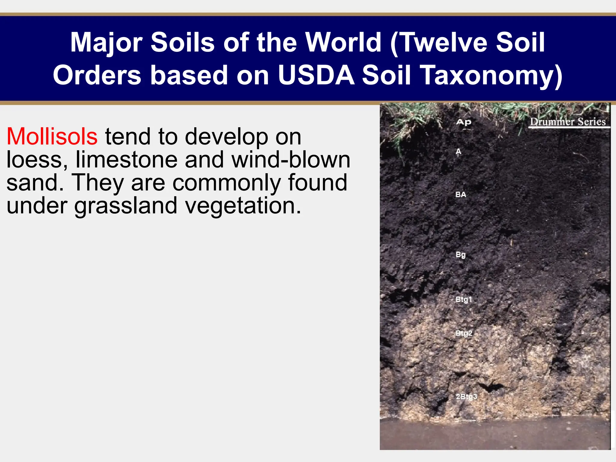 Major Soils of the World (Twelve Soil
Orders based on USDA Soil Taxonomy)
Mollisols tend to develop on
loess, limestone and wind-blown
sand. They are commonly found
under grassland vegetation.
19
 