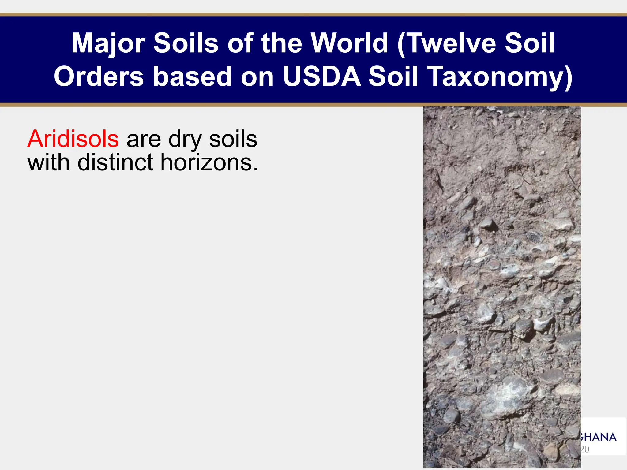 Major Soils of the World (Twelve Soil
Orders based on USDA Soil Taxonomy)
Aridisols are dry soils
with distinct horizons.
20
 