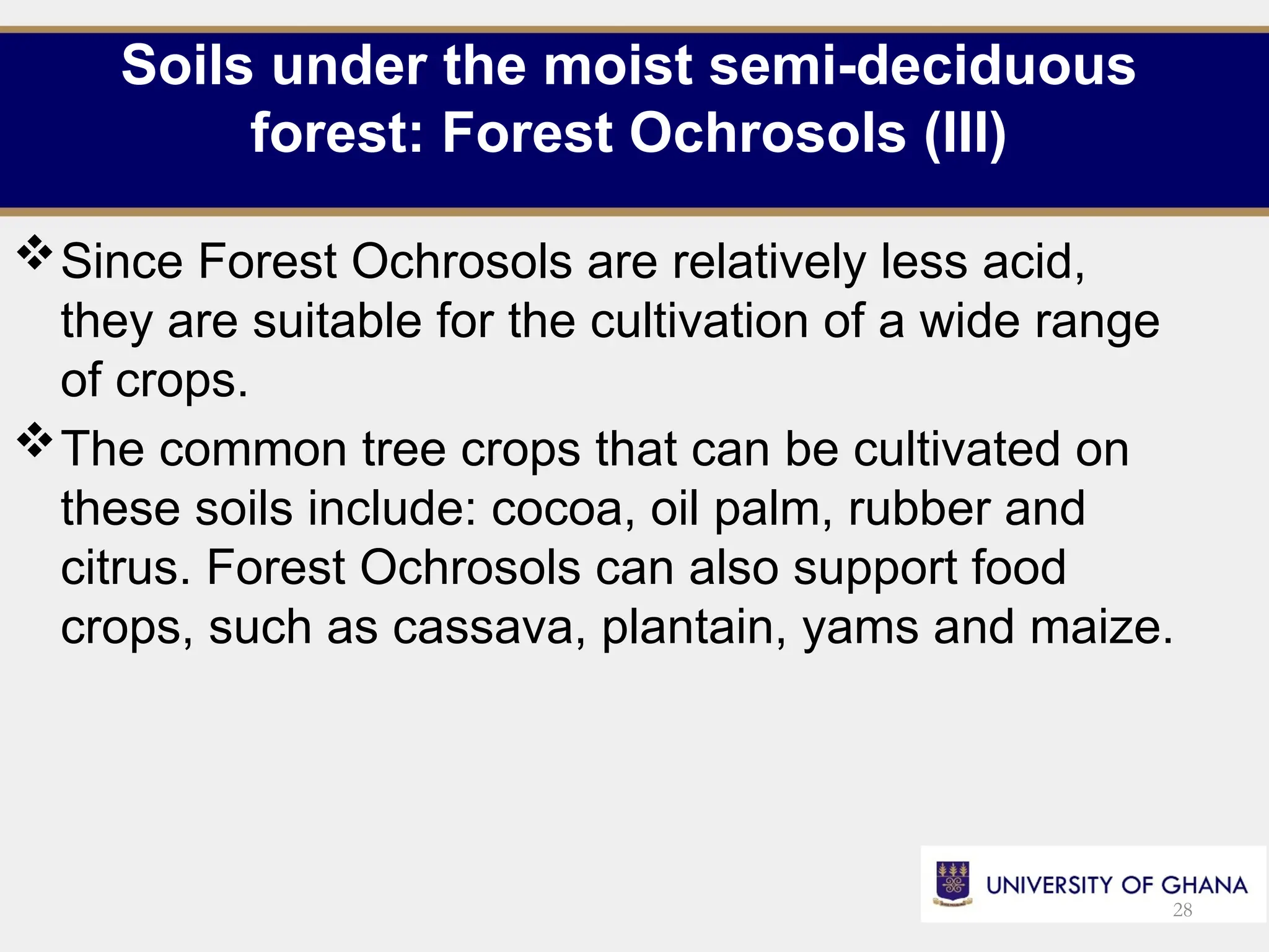 Soils under the moist semi-deciduous
forest: Forest Ochrosols (III)
Since Forest Ochrosols are relatively less acid,
they are suitable for the cultivation of a wide range
of crops.
The common tree crops that can be cultivated on
these soils include: cocoa, oil palm, rubber and
citrus. Forest Ochrosols can also support food
crops, such as cassava, plantain, yams and maize.
28
 