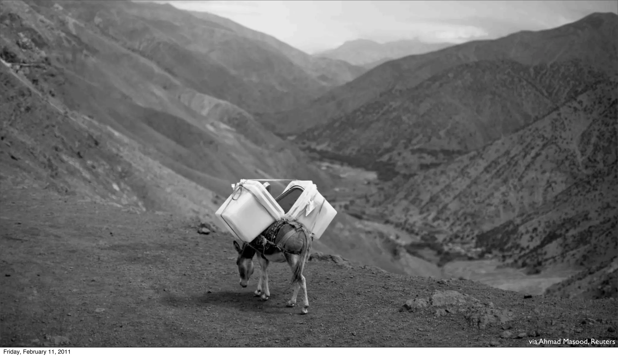 via Ahmad Masood, Reuters
Friday, February 11, 2011

 