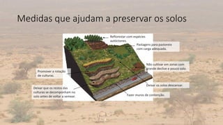 Medidas que ajudam a preservar os solos
10
Reflorestar com espécies
autóctones.
Pastagens para pastoreio
com carga adequada.
Não cultivar em zonas com
grande declive e pouco solo.
Deixar os solos descansar.
Fazer muros de contenção.
Deixar que os restos das
culturas se decomponham no
solo antes de voltar a semear.
Promover a rotação
de culturas.
 