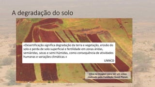 A degradação do solo
5
«Desertificação significa degradação da terra e vegetação, erosão do
solo e perda de solo superficial e fertilidade em zonas áridas,
semiáridas, secas e semi-húmidas, como consequência de atividades
humanas e variações climáticas.»
UNNCD
Clica na imagem para ver um vídeo
realizado pela Fundação Good Planet.
 
